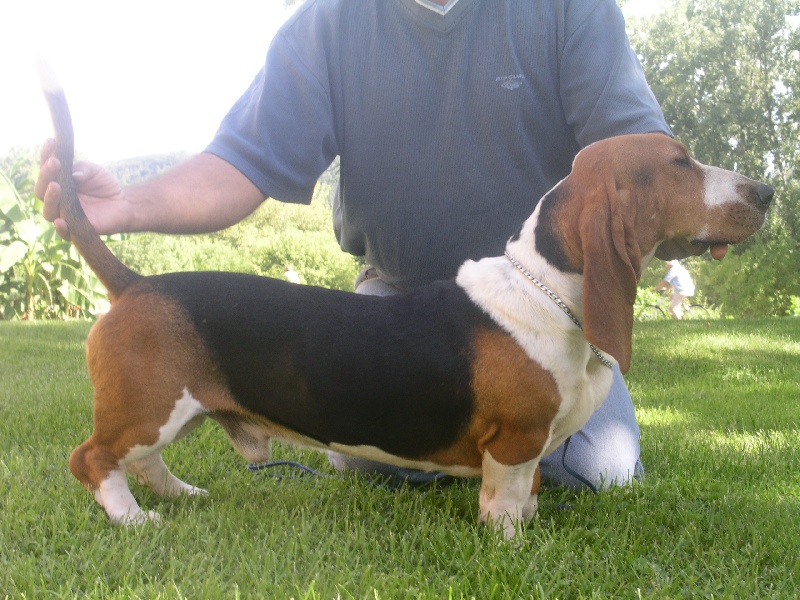 Artiste de la petite dordogne