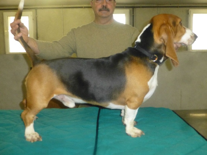 Jarod de la petite dordogne